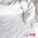 세탁의 신 이미지