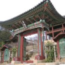 영화당 Daum카페