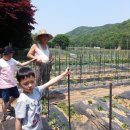 (주)호성