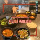 낙지와찌개 | [마포구/서강대역] 서강대 맛집 '죽마고우' 낙지비빔밥 김치찌개 솔직 후기