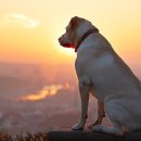 비바케어 이미지