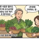 푸른조경 - 완주군 은하율소로 2 | 6탄: 「너가 왜 거기서 나와?! 학원에서 만난 대학 동기의 기적」[조경기능사 합격후기]