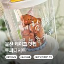 해살가득어린이집 | 울산 남구 케이크 맛집 토피디저트 당일 주문 제작 어린이집 답례품
