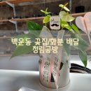 제이엔푸드 이미지
