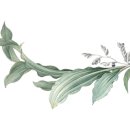 포미(For미) 이미지