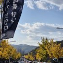 씨유 용인외대사거리점 | 용인 한국외대 명수당 단풍 구경 + 주말 주차 꿀팁!