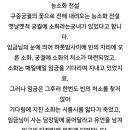 어쩌다발견한하루에 계속 나오는 능소화 찾아봤는데 (궁예) 이미지