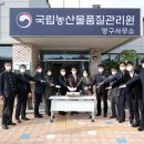 양구남면농산물