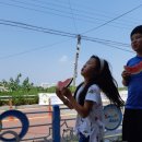 국가대표 호아 태권도 이미지