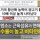 친환경흑염소농장 이미지