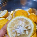 만재농장 이미지