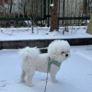 페토브 동물병원 이미지