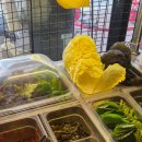 선수촌삼거리 | 삼전역 맛집 삼겹살 구워주는 잠실 고기집 미강식당 (주차)