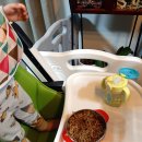 첸차이나 이미지