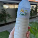 남부농산물 | 세부 : 남부터미널에서 모알보알까지, 버스로 편리하게 이동하는 법! 과연 할만한가?!