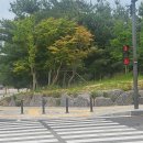 신호등 - 해운대구 양운로80번길 10 | 신호등