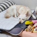 25년 2월도 아자아자뵹 (+3월은 덤)