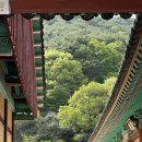 (주)비와이건설 | [전남/구례] 전라남도 구례 여행 가볼만한곳 | 화엄사 | 국내 봄/여름/가을/겨울 여행 추천지 조경이...