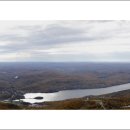 로렌시아 이미지