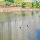 한숲물빛공원 이미지