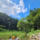 강촌포도팬션&캠핑장 이미지