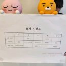 요가소르르