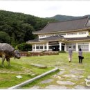 송강유도관 이미지