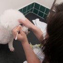 뉴타운 목욕탕 이미지