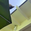 커피아일랜드 | 카페 추천｜26주 임산부 태교여행 중 다녀온 하와이 코나커피 &amp; 아일랜드 빈티지 커피 솔직 후기 ☕