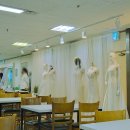 까사폴라리스A | [동갑내기 부부 결혼 기록] 다이렉트 결혼준비 웨딩 박람회_견적 공개 및 업체 선정 꿀팁