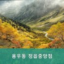 용우동정읍