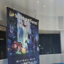 팀랩 | 후쿠오카 팀랩 포레스트 후기(+예약, 관람시간)