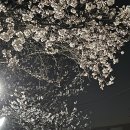 송파나루(놀이마당) 화장실 이미지