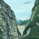 바이온트 이미지