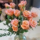 스테이 어 리틀 롱거 이미지