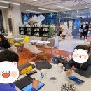 고덕 이팝나무길 이미지