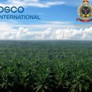 최지원 농장 이미지