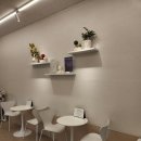 하이멍 애견미용 이미지