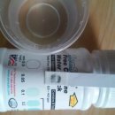 완도초등학교 앞 이미지