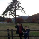 정이품민박 이미지