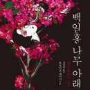 나무아래 이미지