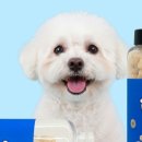 댕댕이연구소 이미지