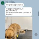 새마을 유치원 | 새마을 유치원-대형견 엄마들 주목!!!!