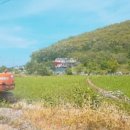 삼산면-8 이미지