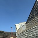 [충북/제천] 포레스트 리솜 레스트리리솜 호텔형에서 2박 3일 숙박한 내돈내산 객실 후기 없는 것