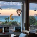 게스트하우스 정글 민박 이미지