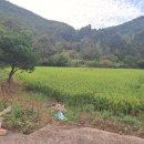 정남농장 이미지