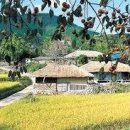 시에게 가는 길 이미지