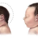 (주)지카 이미지