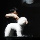 도그핏애견샵 이미지